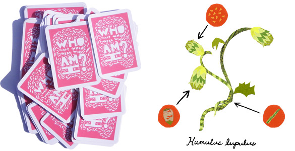 Hop flower (right) and playing cards (left) that remind the audience the essential question: who, what, when, where, why am I?